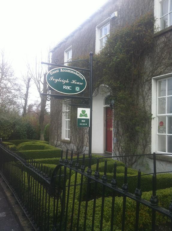 Ivyleigh House Bed and Breakfast Port Laoise Buitenkant foto